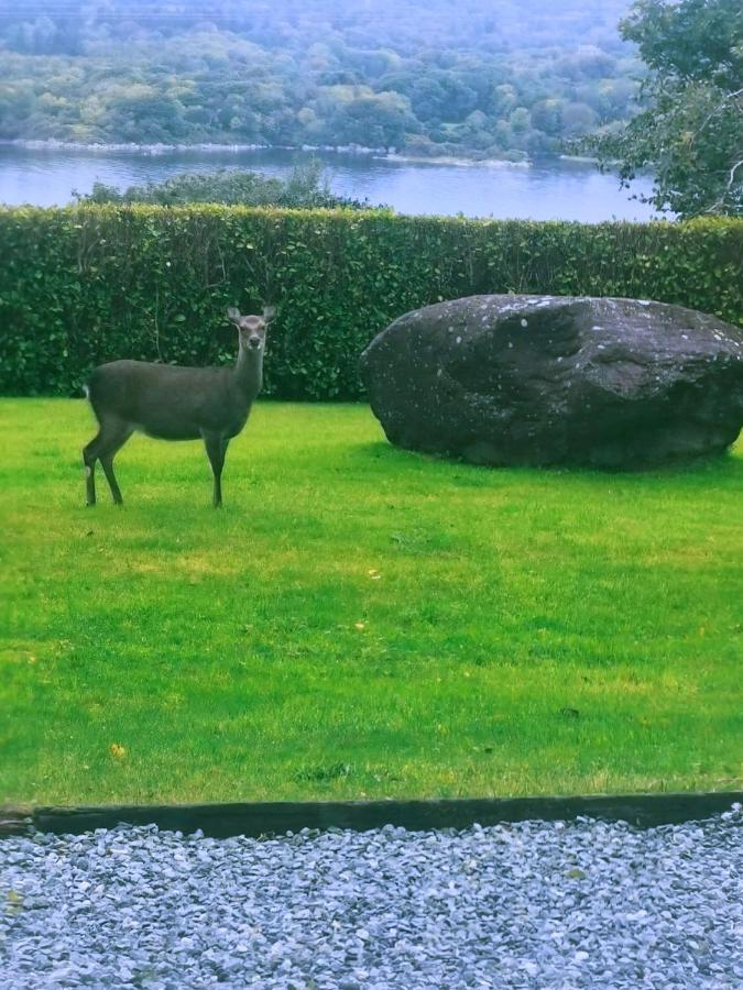 Bay View Haven Leilighet Kenmare Eksteriør bilde